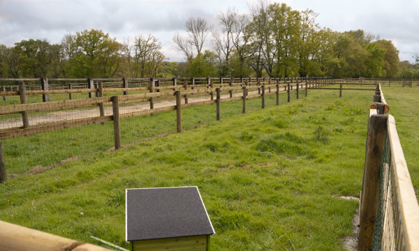 photo-paddock-domaine-de-capucine