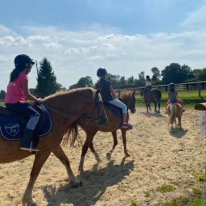 cours-équitation