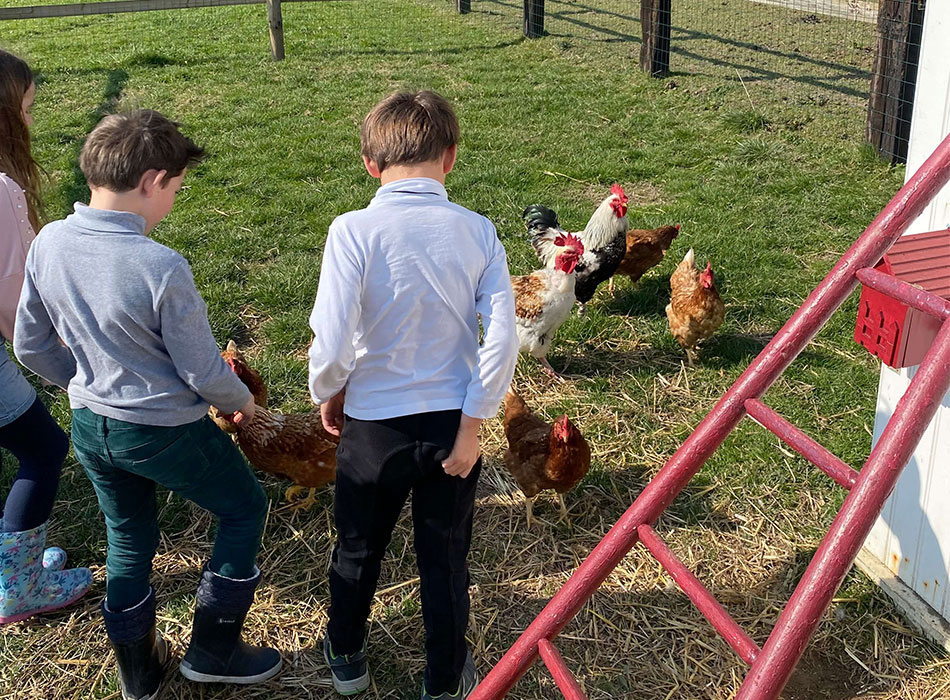 Enfants avec des poules dans une ferme pédagogique