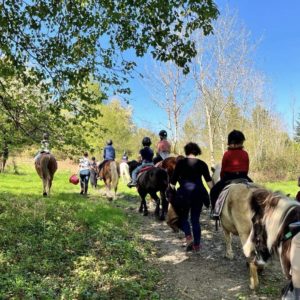 Le Domaine de Capucine centre équestre balade forêt cheval poney normandie Caen cabourg deauville