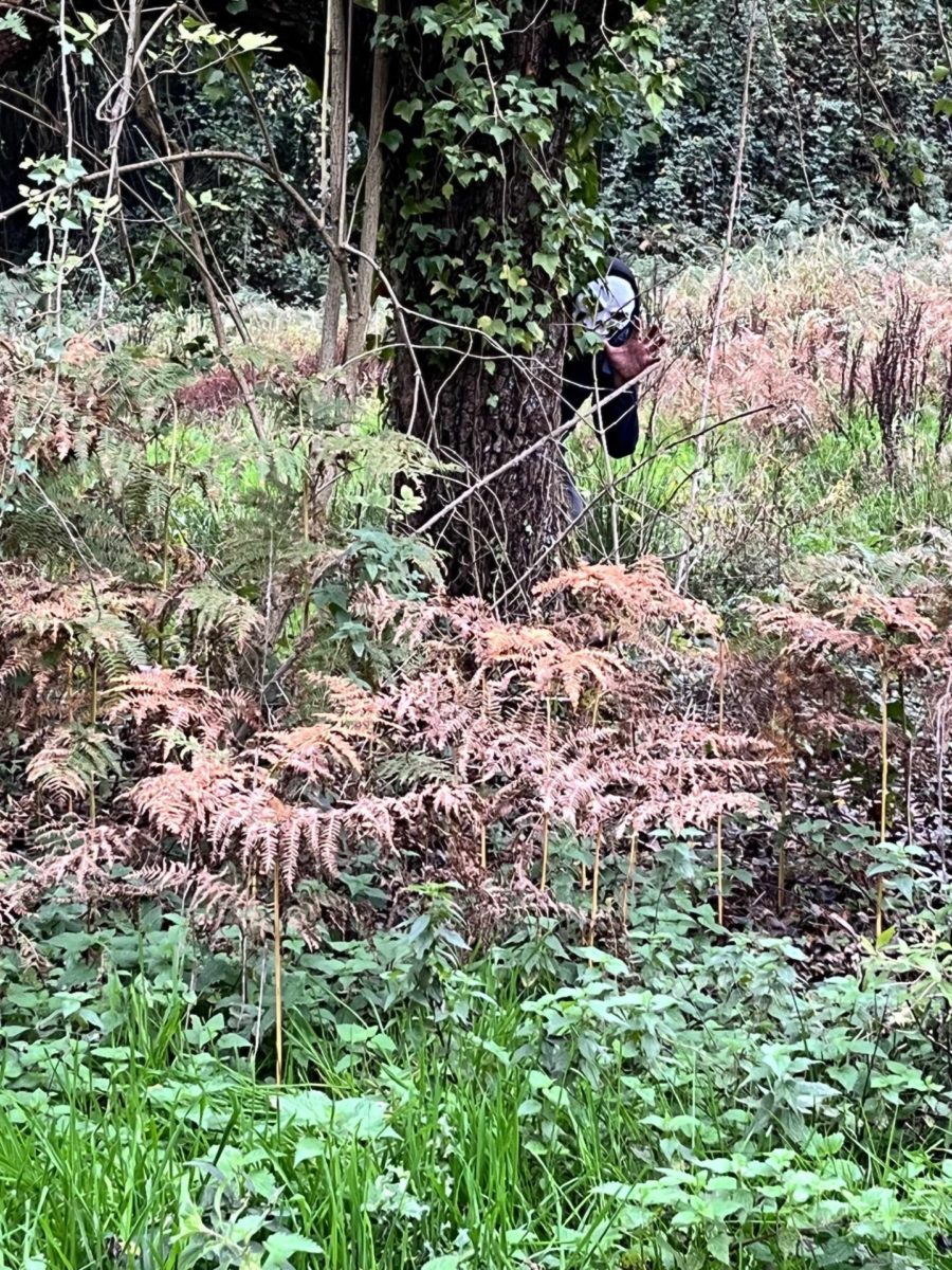 Le Domaine de Capucine centre équestre normandie Caen deauville cabourg forêt