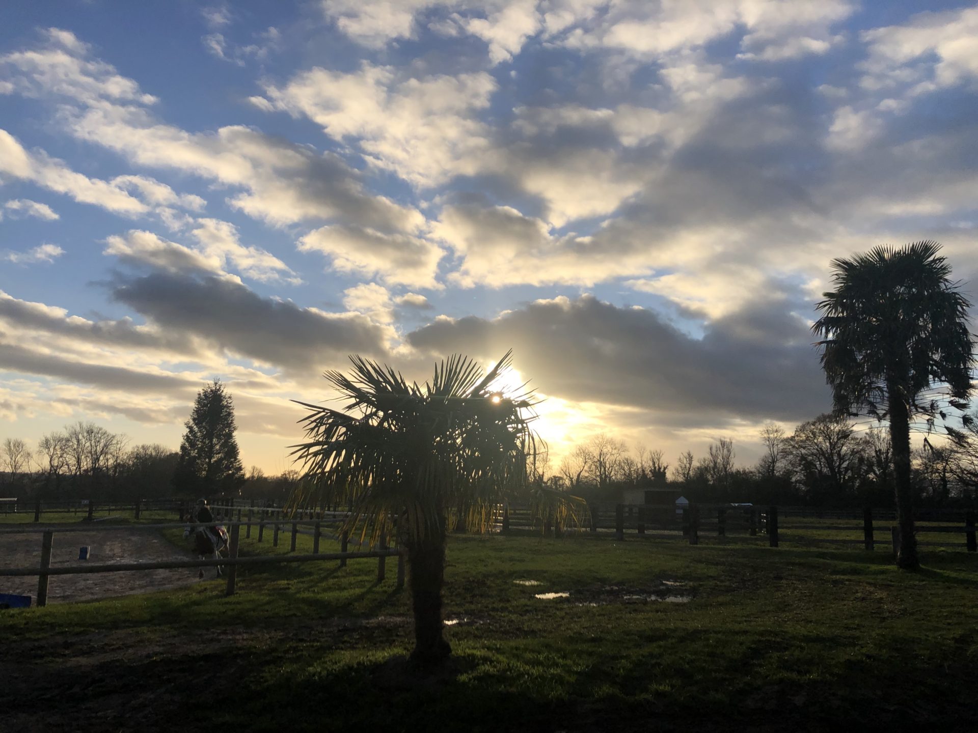 Le Domaine de Capucine centre équestre pension chevaux normandie