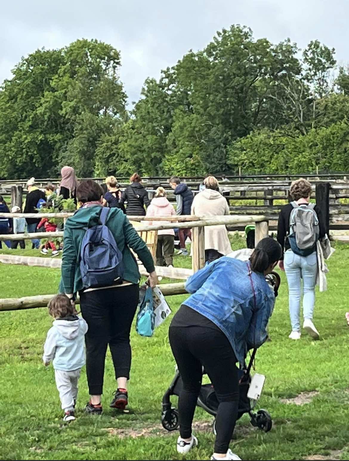 Visiteurs à la ferme en Normandie