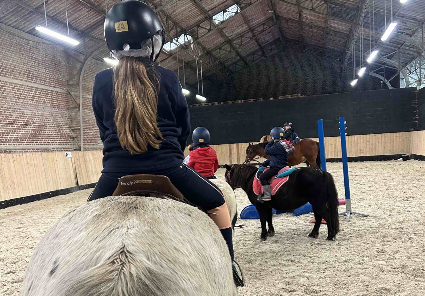 stage poney dans un manège en normandie
