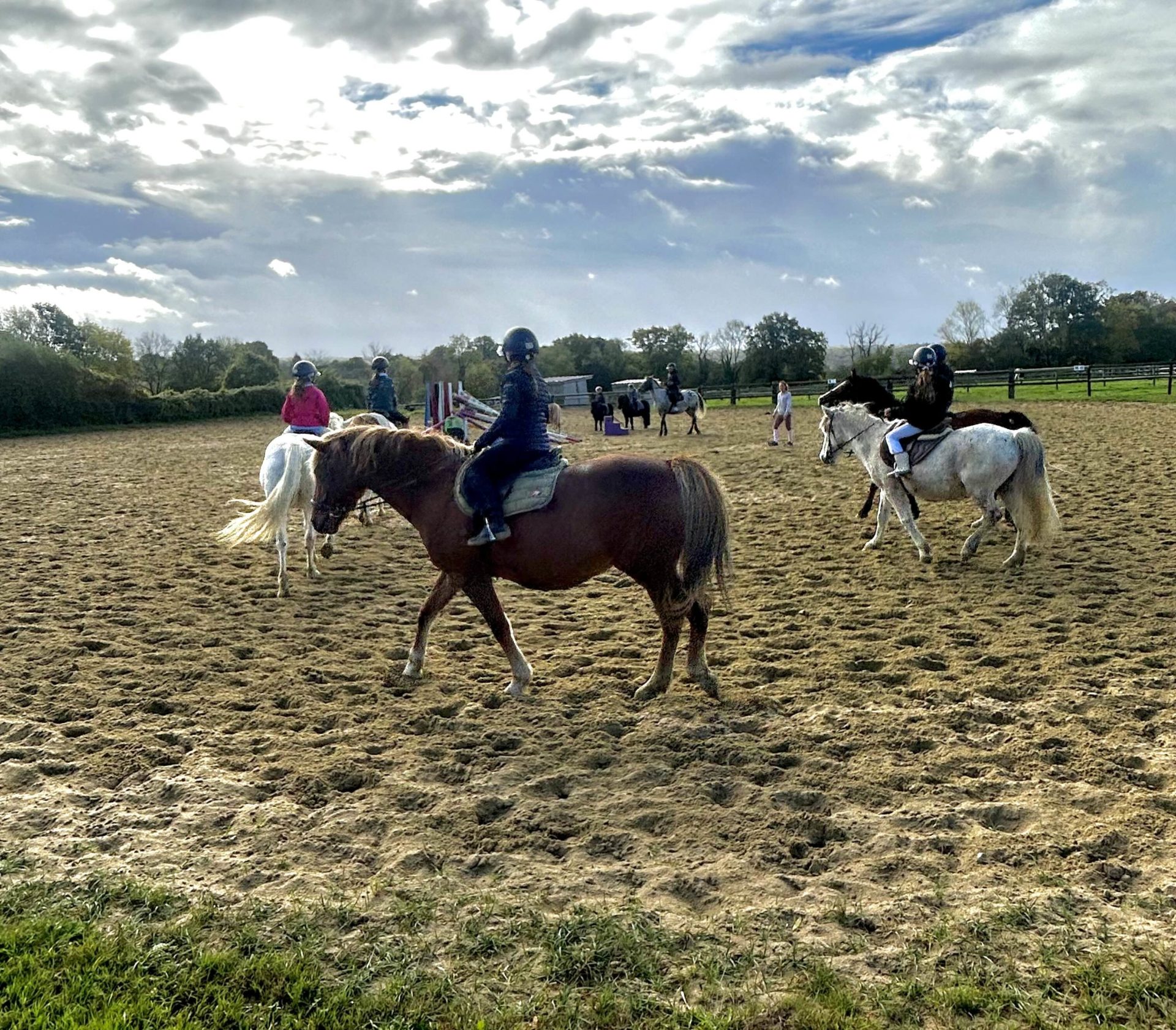 Stage poney enfant