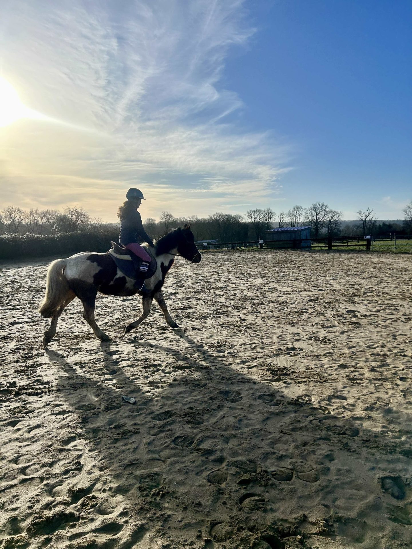 Demi-pension poney Demi-pension poney